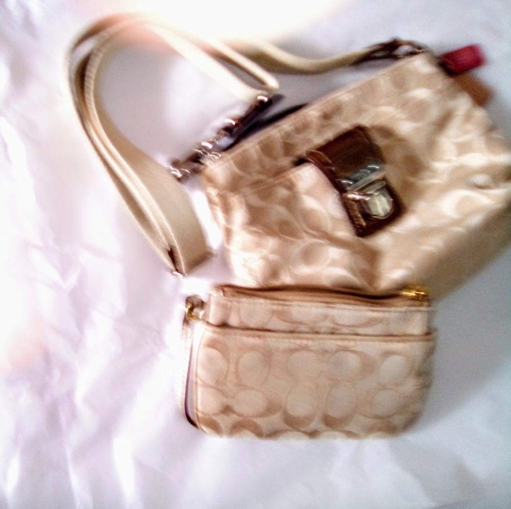 COACH Poppy Sig Metallic SWINGPACK/CLUTCH